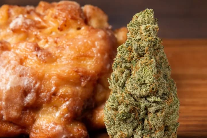 Apple Fritter — botanical hero