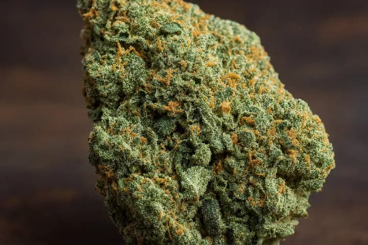 Big Bud — botanical hero