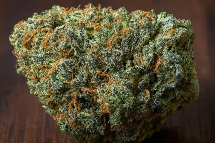 Bubba Kush — botanical hero