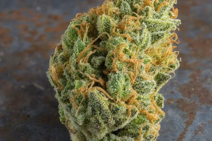 Chemdawg — botanical hero
