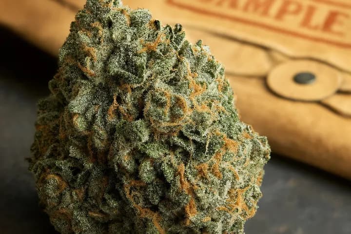 G13 — botanical hero