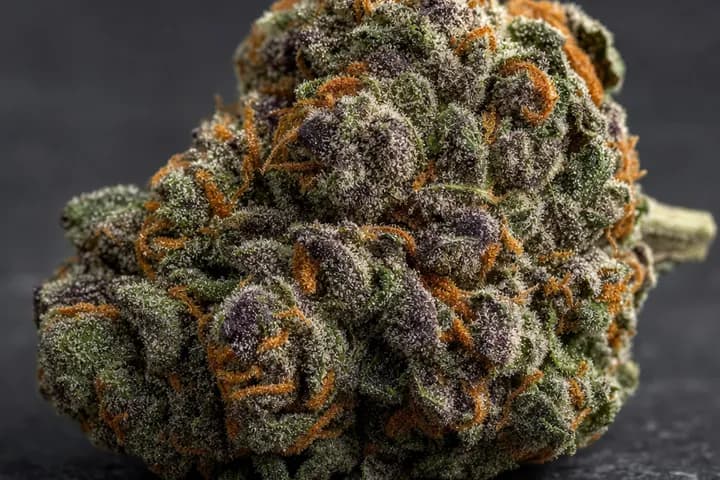 Girl Scout Cookies — botanical hero