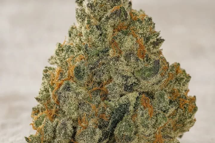 GMO Cookies — botanical hero