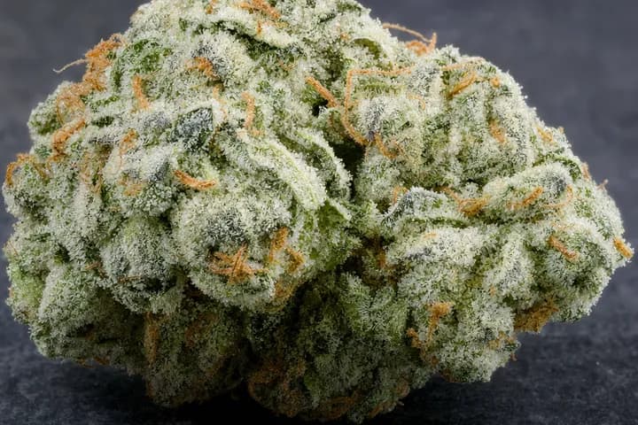 Gorilla Glue #4 — botanical hero