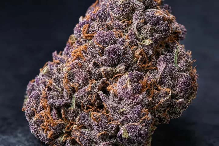 Granddaddy Purple — botanical hero