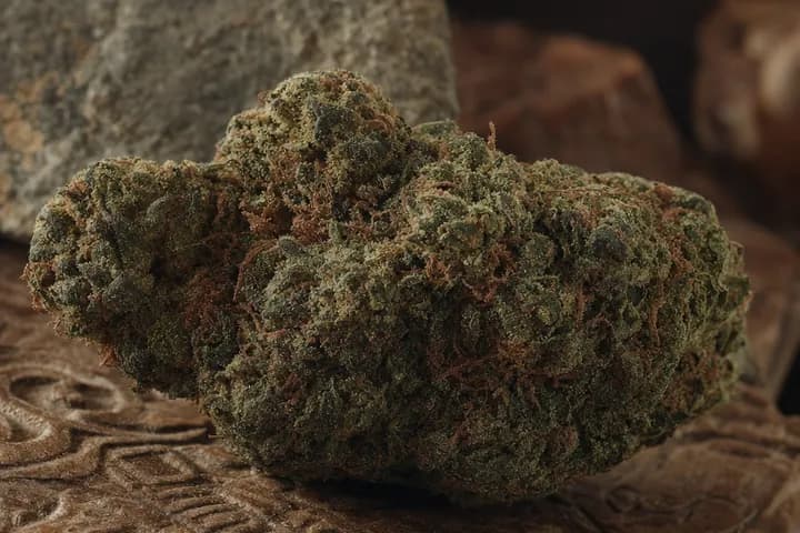Hindu Kush — botanical hero