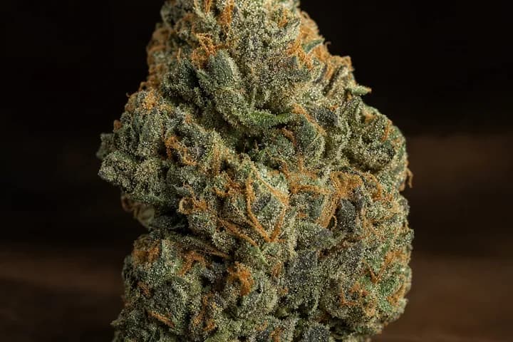 Khalifa Kush — botanical hero