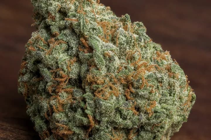 King's Kush — botanical hero