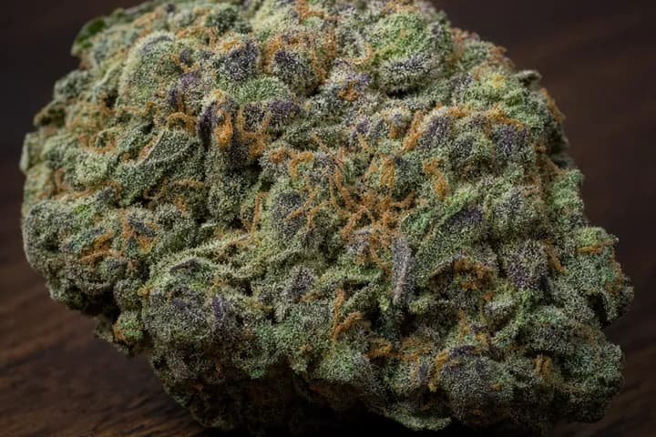 Kosher Kush — botanical hero