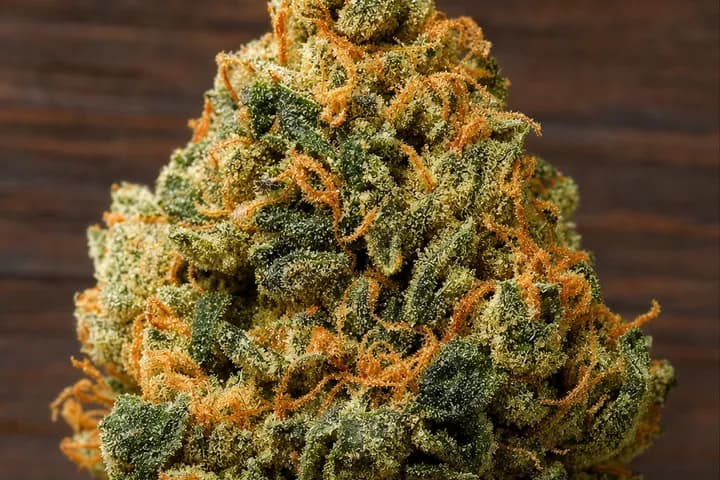 Larry OG — botanical hero