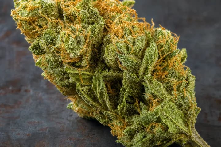NYC Diesel — botanical hero