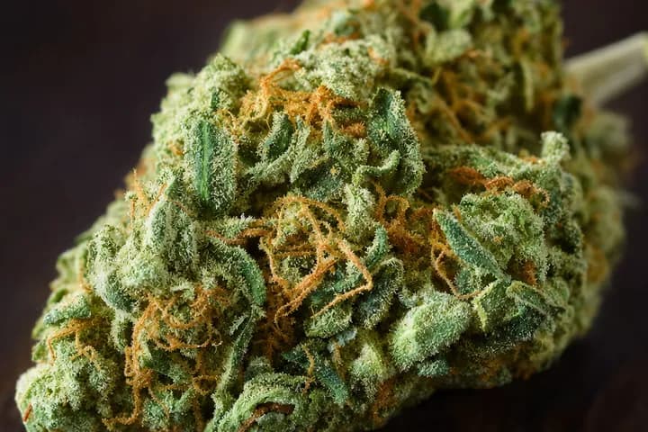 OG Kush — botanical hero
