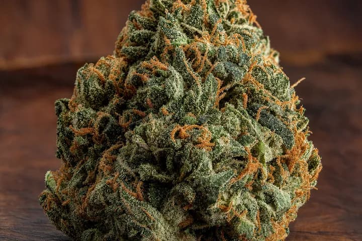SFV OG — botanical hero