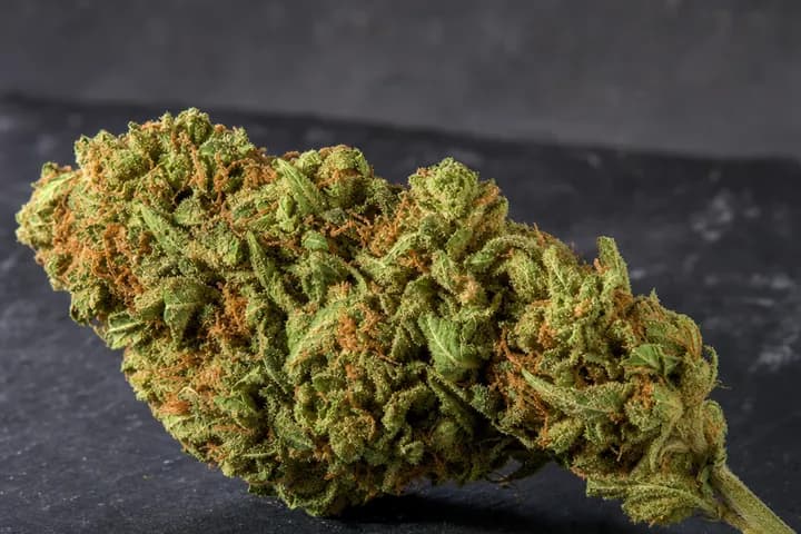 Sour Diesel — botanical hero