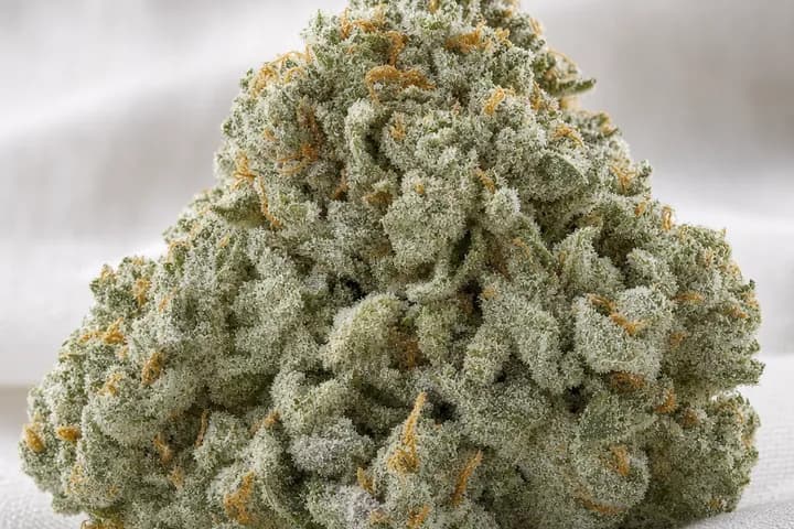 Wedding Cake — botanical hero
