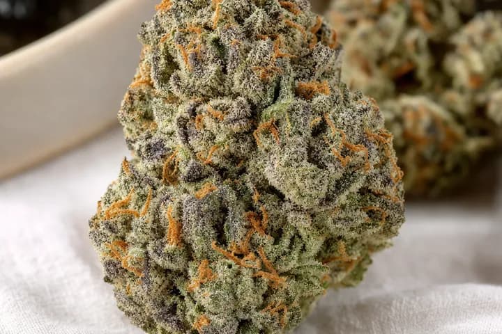 Wedding Crasher — botanical hero