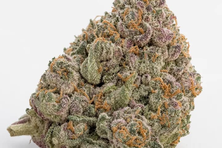 Zkittlez — botanical hero